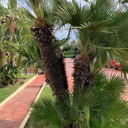Vue Exceptionnelle, El Rosario Appartement *