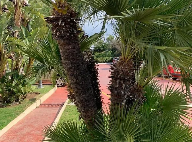 Vue Exceptionnelle, El Rosario Apartamento *