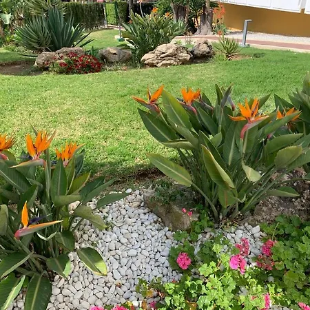 Lägenhet Vue Exceptionnelle, El Rosario Marbella