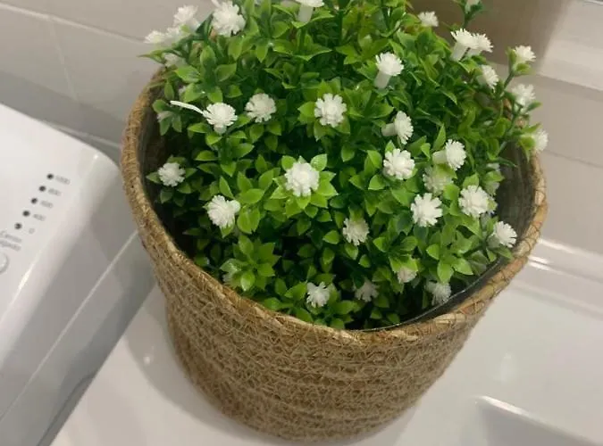 Vue Exceptionnelle, El Rosario アパート マルベーリャ