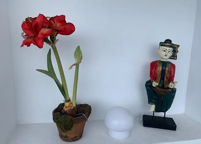 Vue Exceptionnelle, El Rosario * マルベーリャ