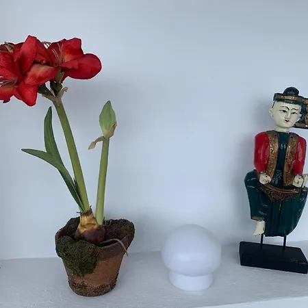 Vue Exceptionnelle, El Rosario * 马尔韦利亚