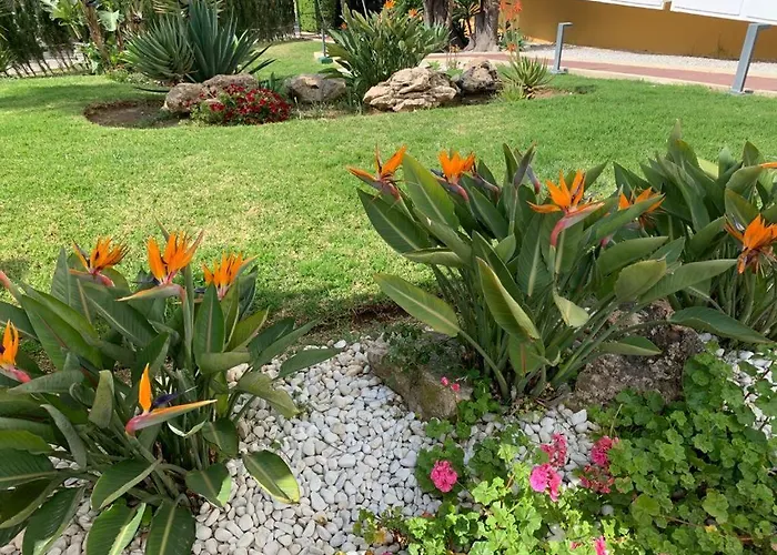 公寓 Vue Exceptionnelle, El Rosario 马尔韦利亚