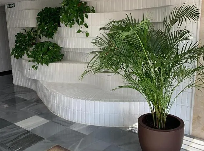 Vue Exceptionnelle, El Rosario 公寓 *